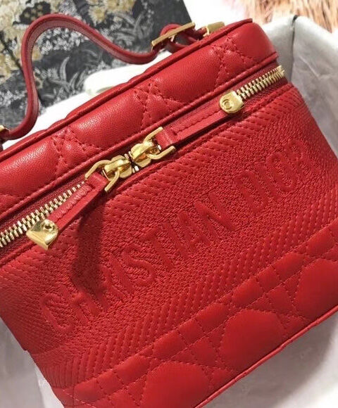 Christian Dior The Leather Vanity Bag Red